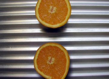 Naranjas - Punto y Coma - Fotografía - Miguel Sanza