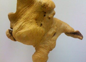 A quien te recuerda esto - escultura - Miguel Sanza